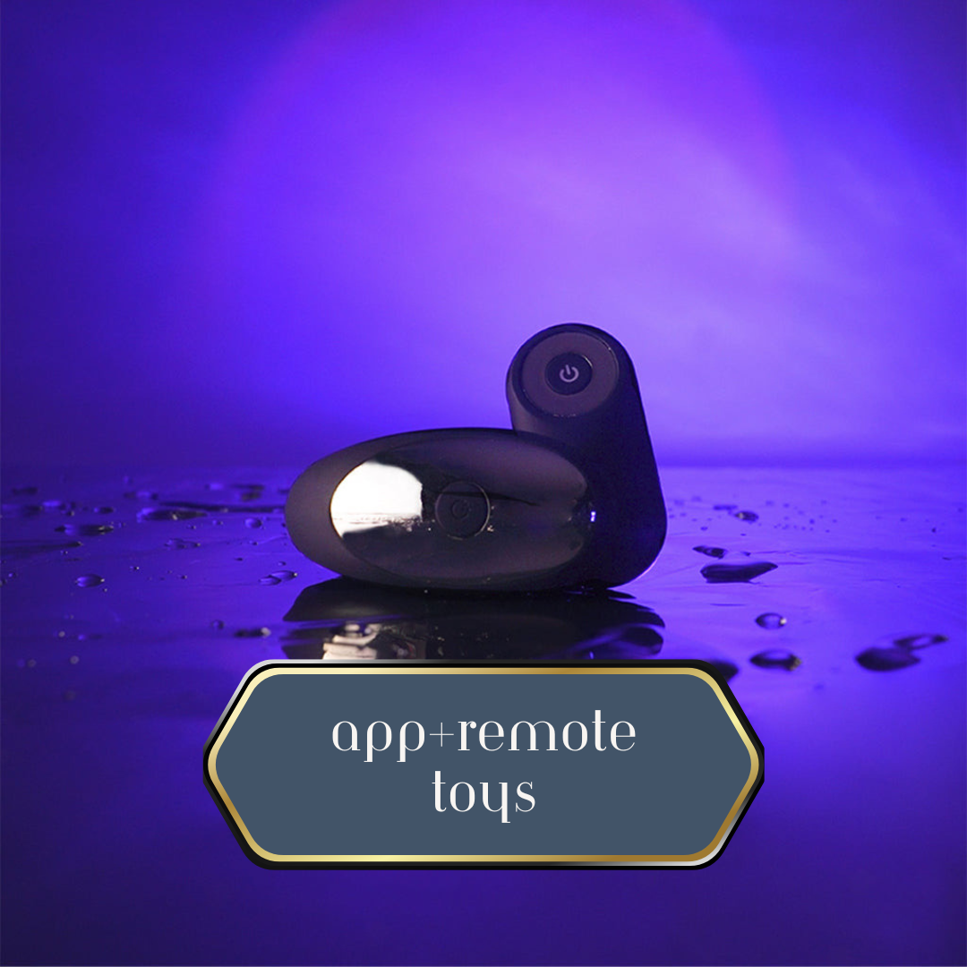 APP + Remote Sex Toys