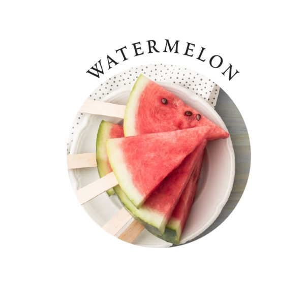 Tasty Travel Gift Set | 2 oz Watermelon Scent
